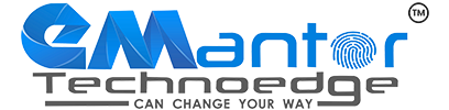apisolution Partner emantor recharge service  5